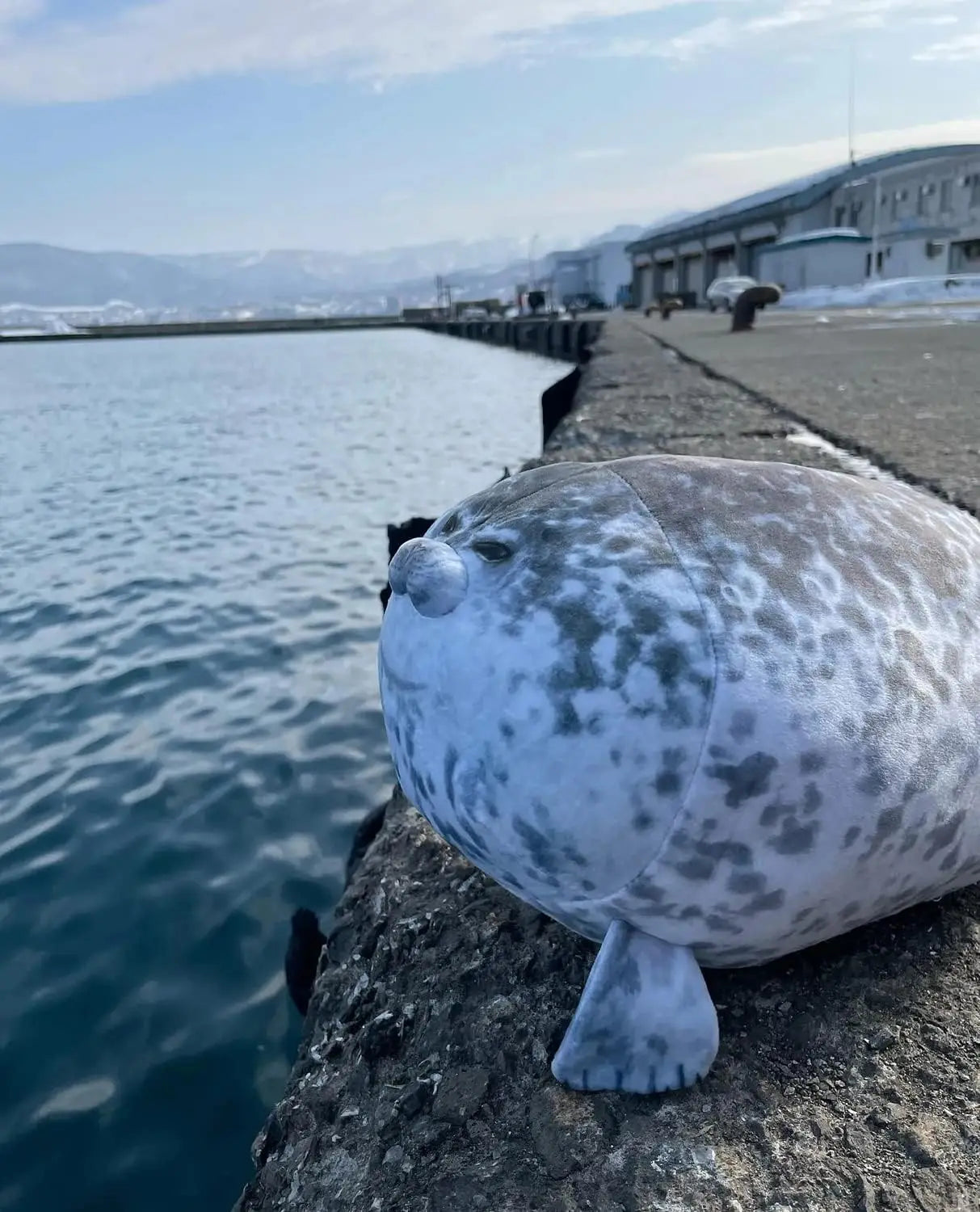 23.7 Inch Large Seal Plush Pillow: Soft Stuffed Animal Toy for Boys Girls, Cute Room Decor Ocean Animals Pillow